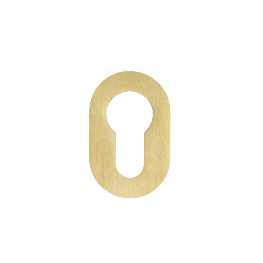 Picture of Rosso Tecnica Euro Profile Mini Escutcheon in PVD Satin Brass - RT001-MINI-PVDSB