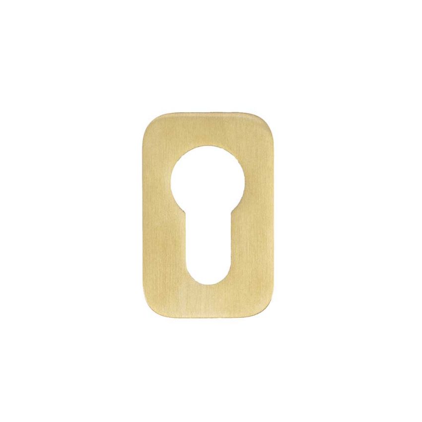 Picture of Rosso Tecnica Euro Profile Mini Squircle Escutcheon in PVD Satin Brass - RT001-MINISQ-PVDSB