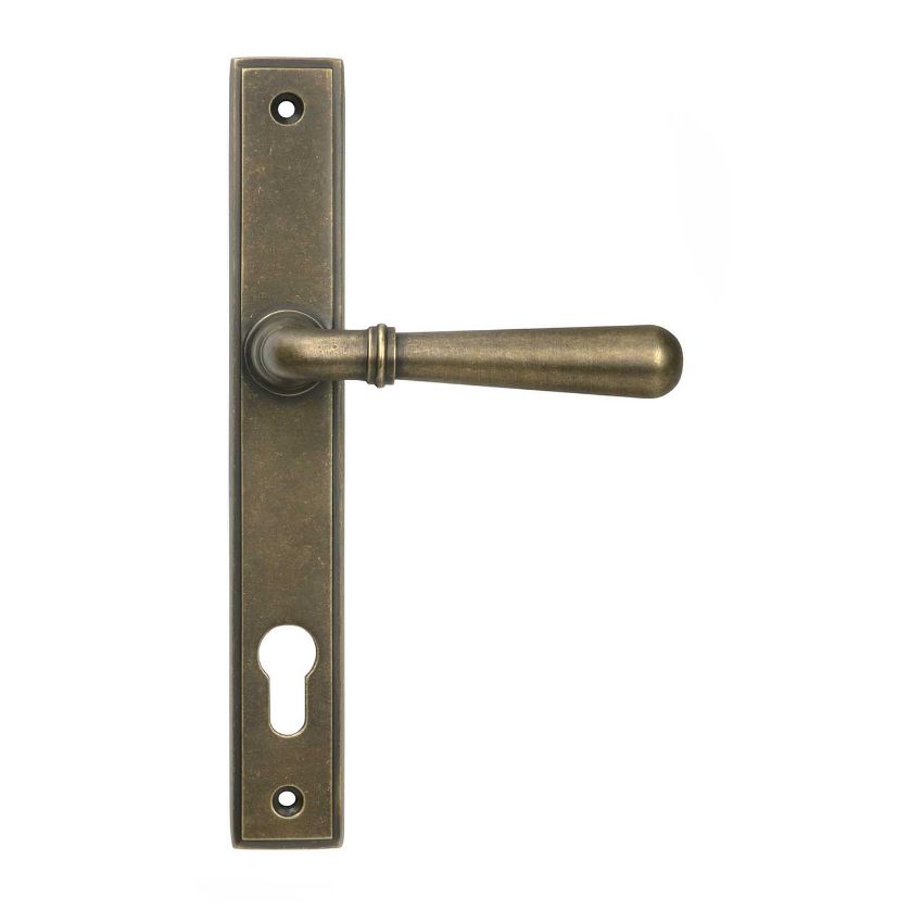 Picture of Burnished Brass Newbury Slimline Sprung Lever Espag. Lock Set- 52285