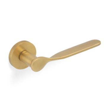 Picture of Valli Perkins & Will Lever on Round Rosette - Satin Brass PVD - H383SBPVD