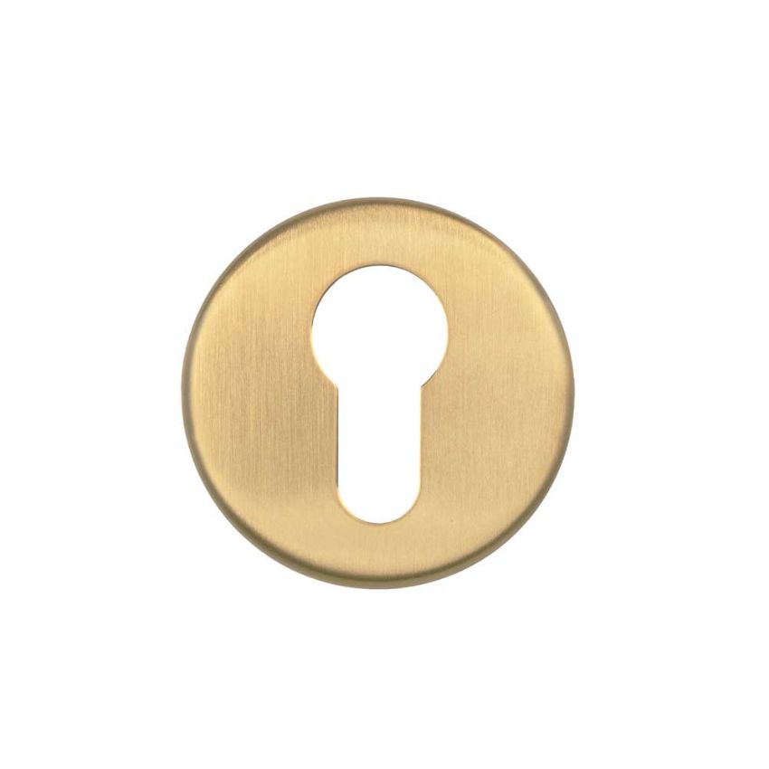 Picture of Euro Profile Escutcheon In PVD Satin Brass- ZCS2001G3PVDSB